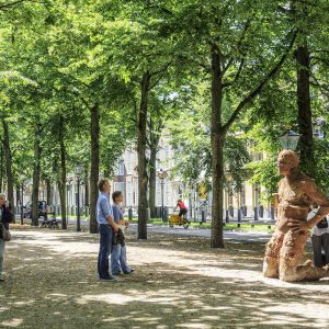 Beautiful avenue with lime trees