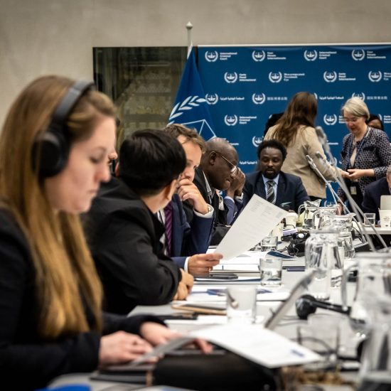 Hague Justice Week - Highlight of the visitors program. Journalists from around the world visit the ICC representatives